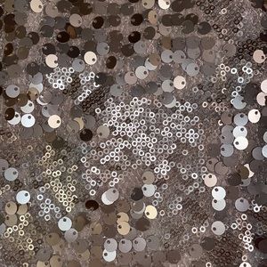 NWOT Tildon special occasion sequin skirt (Nordstrom)